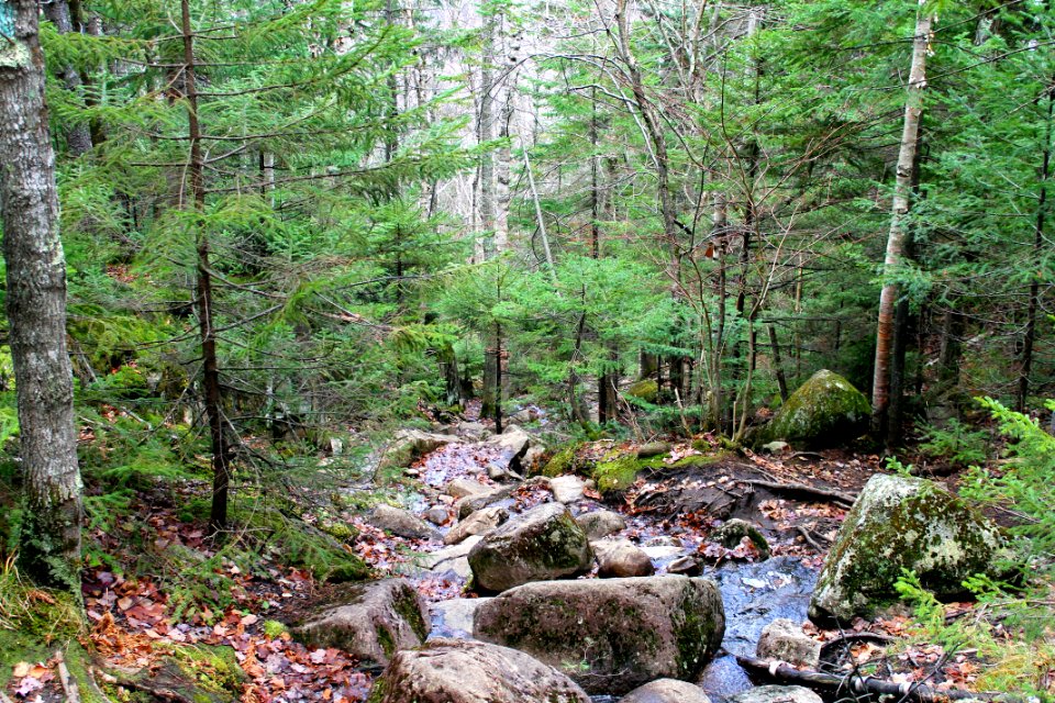 Mount Jo Hike - November 2015