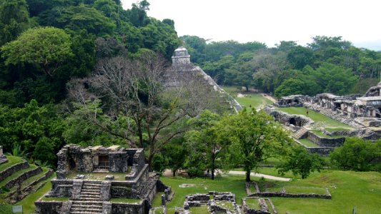 Palenque Mayan Pyramid