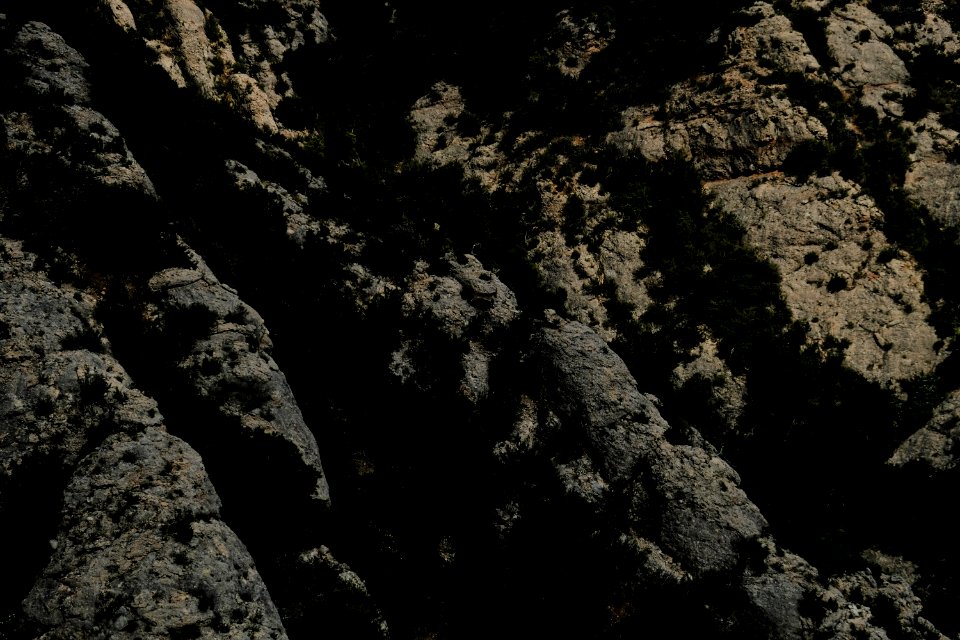 DSCF6716