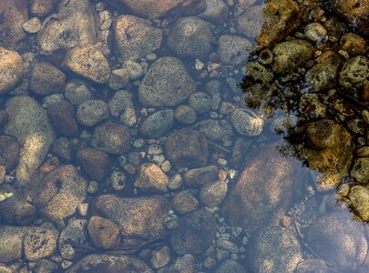 Pebbles pond lake photo