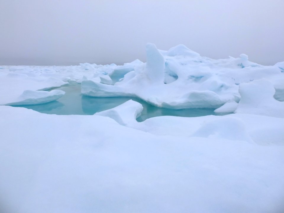 DSCF4987