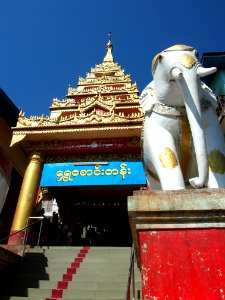 P1010231