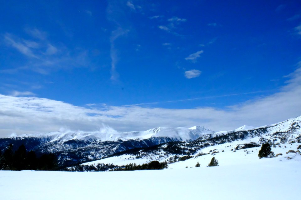 DSCF6404