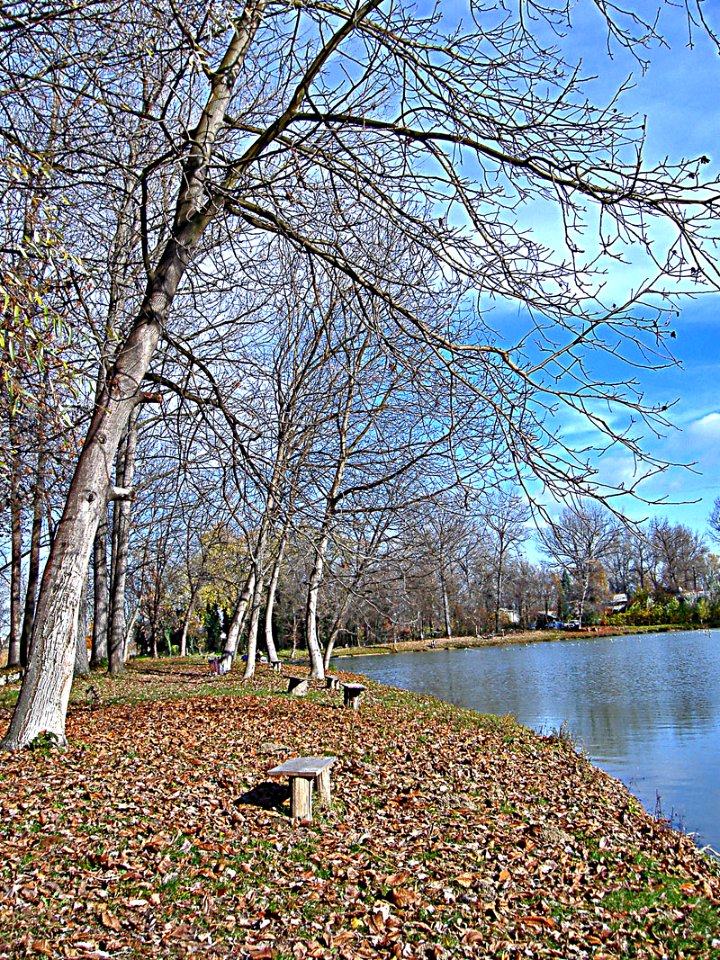 Outumn beside water
