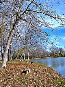 Outumn beside water