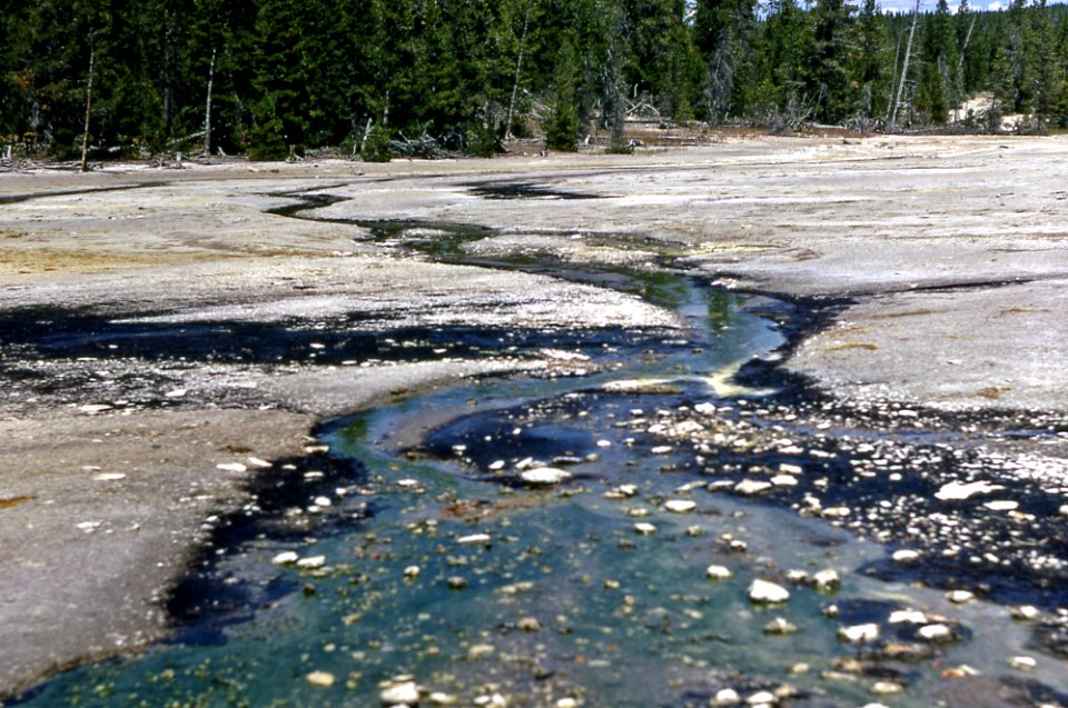 Realgar Creek (One Hundred Spring Plain, Norris Geyser Basin, Yellowstone, Wyoming, USA) (1968)