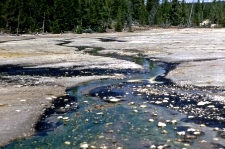 Realgar Creek (One Hundred Spring Plain, Norris Geyser Basin, Yellowstone, Wyoming, USA) (1968)