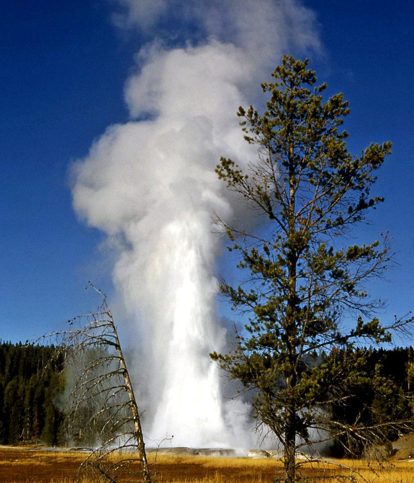 Giant Geyser erupting (1950)