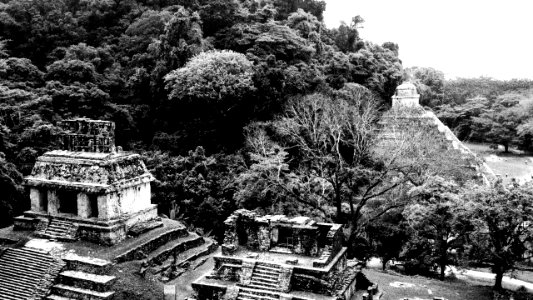 Palenque Mayan Pyramid