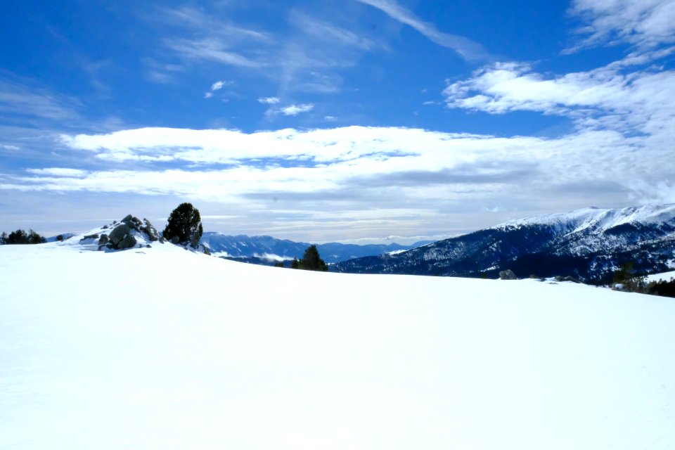 DSCF6408