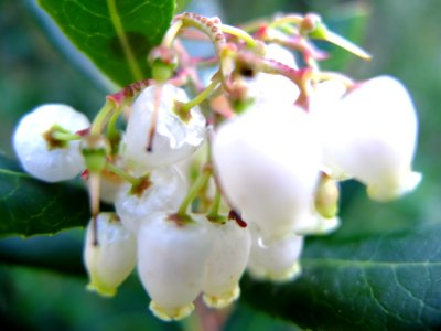 DSCF8354