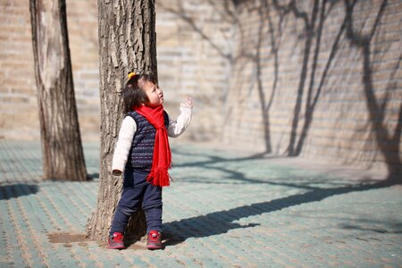 Cool new year chinese new year