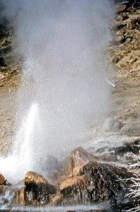 Spray Geyser erupting (1967) 1