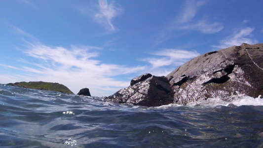 Snorkelling Among the Rocks photo