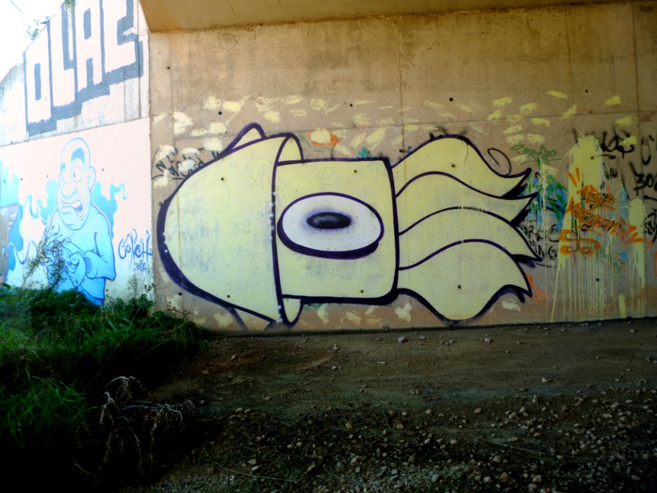 DSCF8021