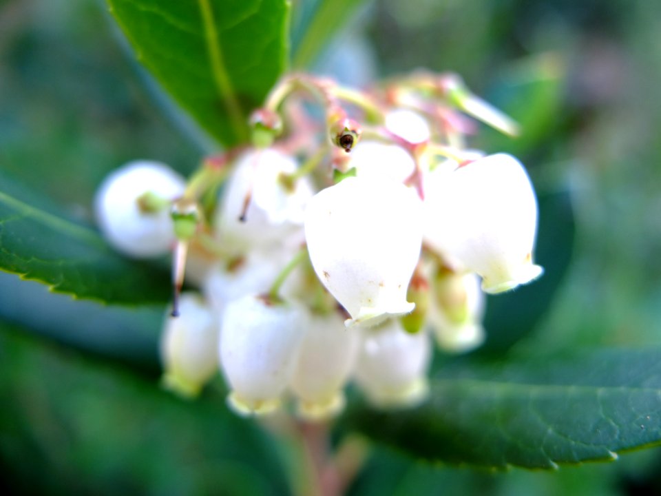 DSCF8353