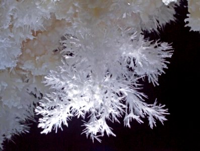 Aragonite frostwork (Lechuguilla Cave, New Mexico, USA)