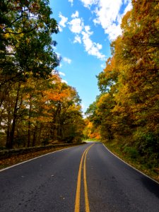 Fall Skyline Drive photo