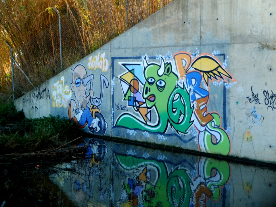 DSCF8010