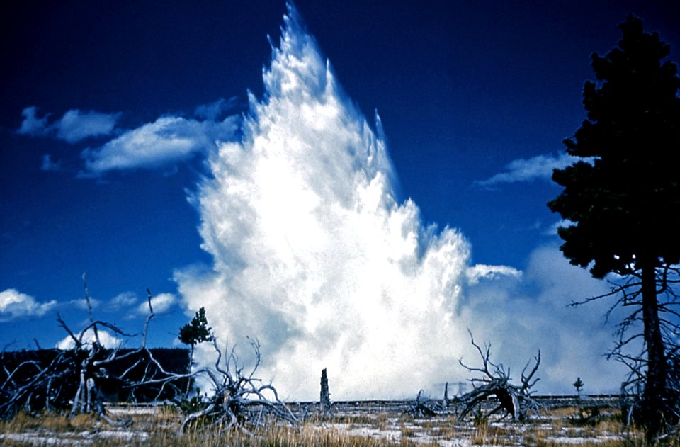Sapphire Pool erupting (7 September 1959)