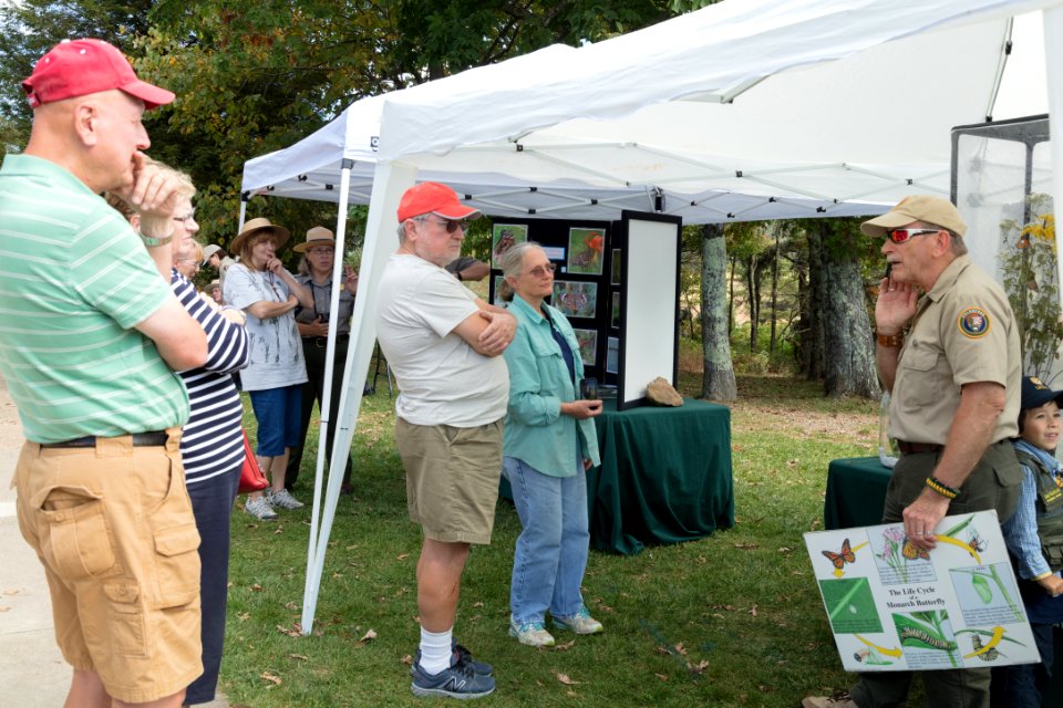 Monarch Butterfly Day 2017