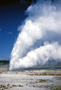 Earthquake Geyser erupting (1959) photo