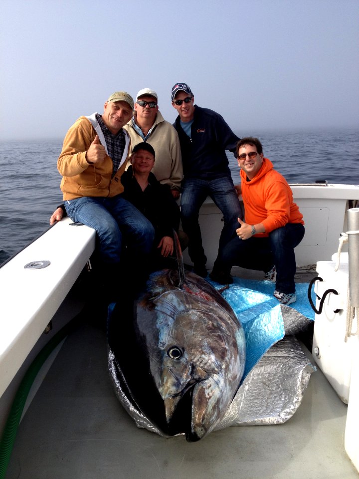 98 (Bluefin Tuna)