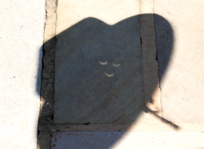 Eclipse Event at Byrd Visitor Center