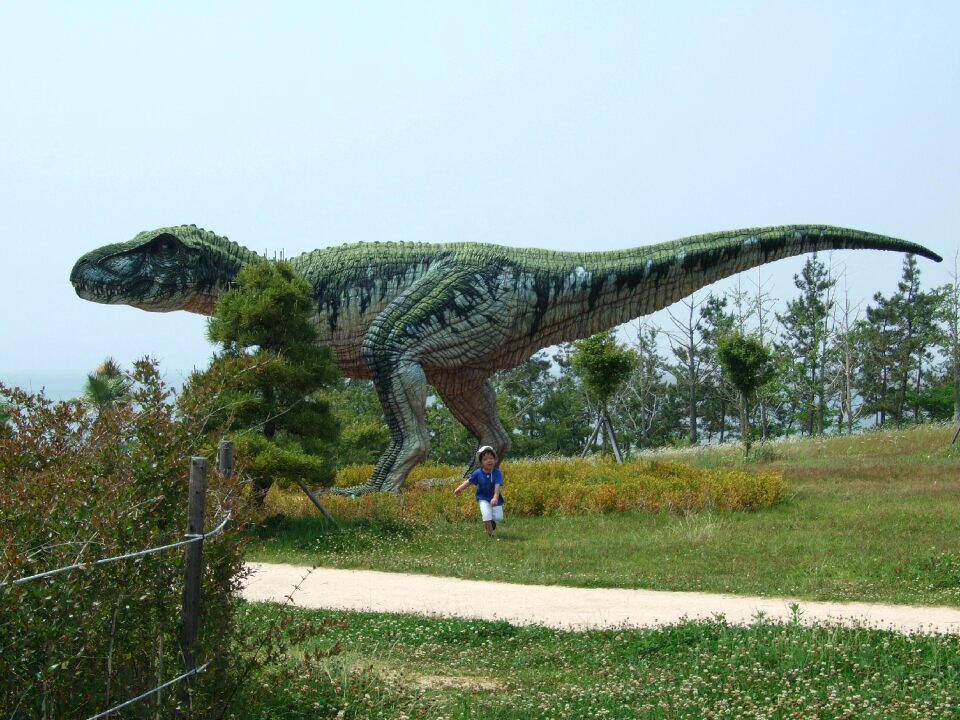 Dinosaurs herbivorous carnivorous