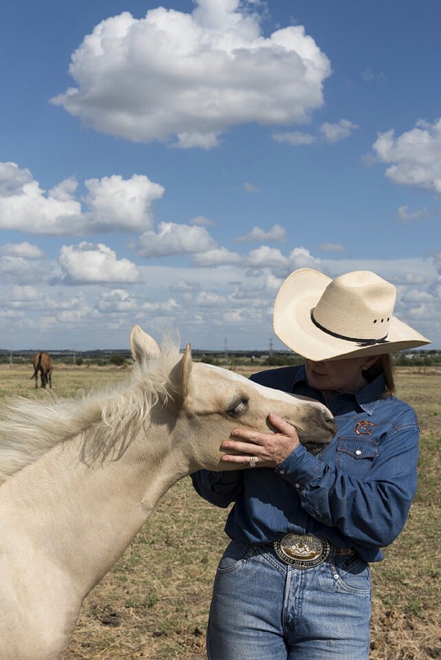 Ranch equine equestrian