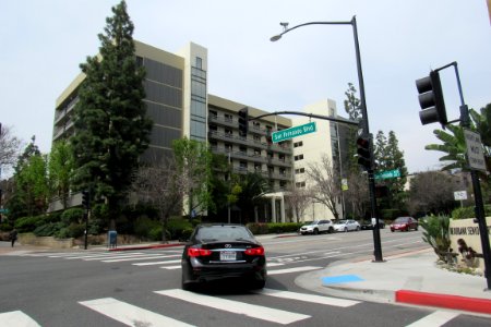 IMG 0008