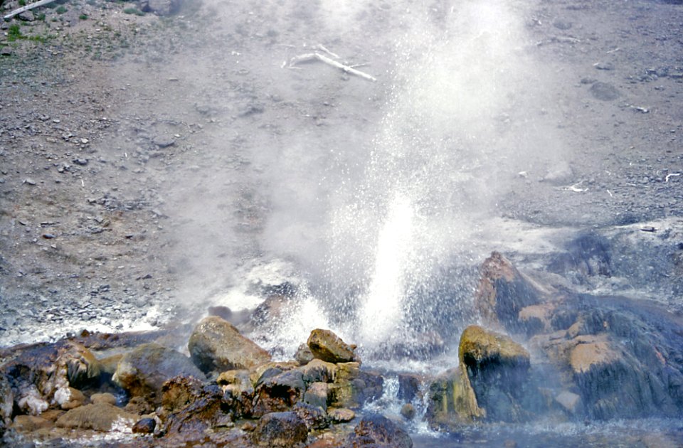Spray Geyser erupting (1966)