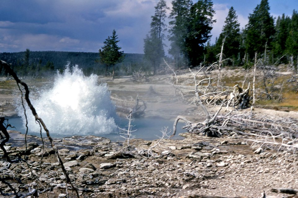 Seismic Geyser erupting (1965)