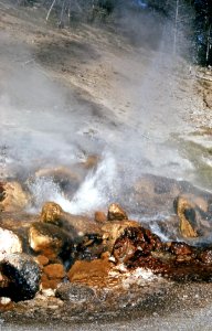 Spray Geyser erupting (1967) 2