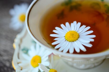 Medicine naturopathy plant