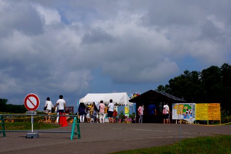 北竜町 ひまわりの里