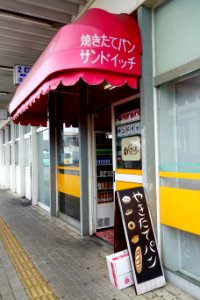 サンドール くすの木