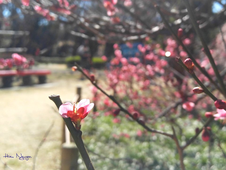 20170219 105245 Sig