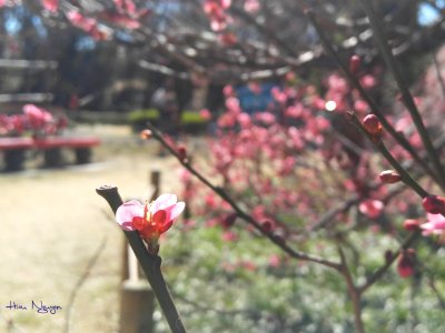 20170219 105245 Sig