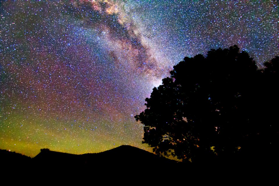 QLD Astrofest Tree