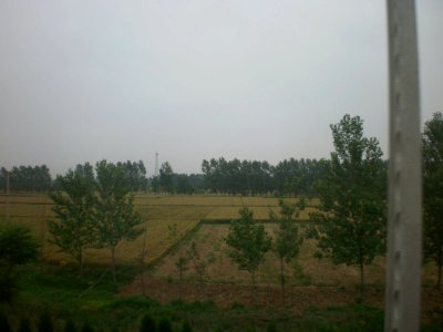 28 (Country Side) photo