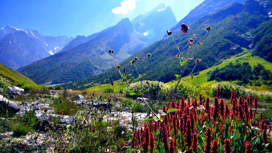 Sun soaked valley photo