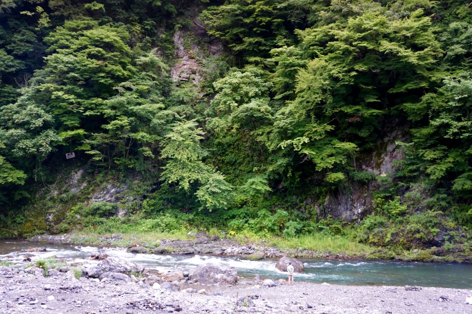 氷川キャンプ場