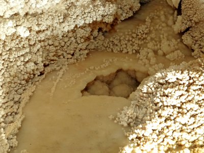 Travertine speleothem (Caverns of Sonora, Texas, USA) 4 photo