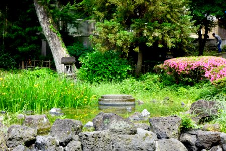 白滝公園