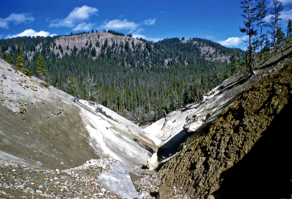 Death Gulch (Yellowstone, Wyoming, USA) (1960)
