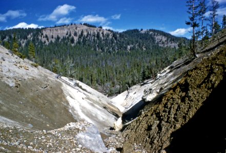 Death Gulch (Yellowstone, Wyoming, USA) (1960) photo