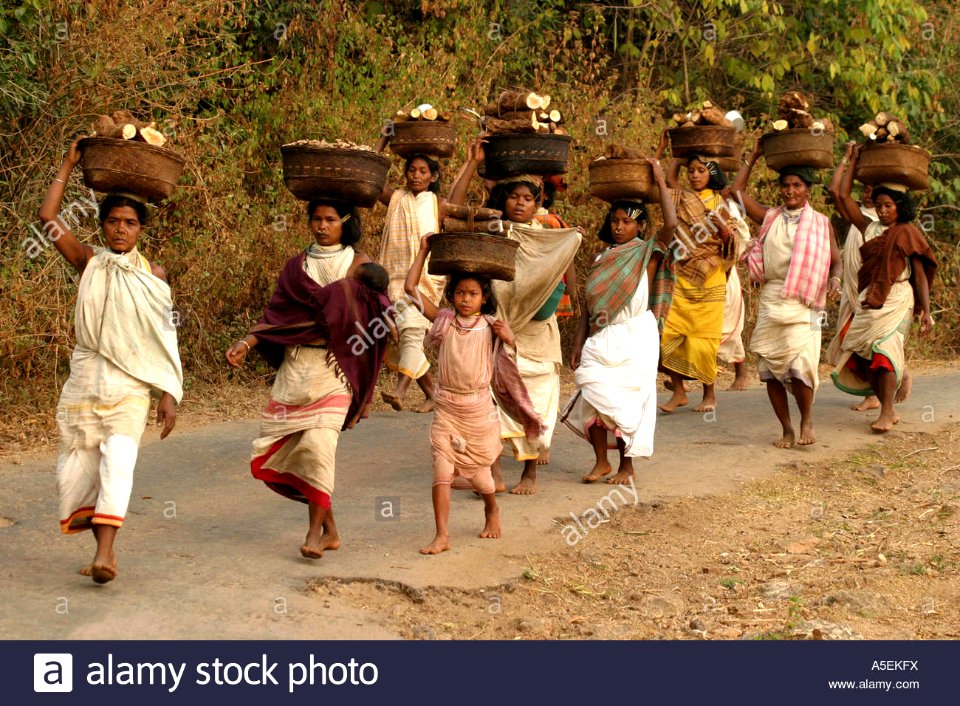 dongria-kondh-mujerescon-cargas-pesadas-en-la-cabeza-descalzo-powerwalk-25kms-hasta-y-desde-semanal-mercado-tribal-india-orissa-a5ekfx