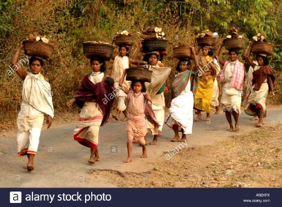 dongria-kondh-mujerescon-cargas-pesadas-en-la-cabeza-descalzo-powerwalk-25kms-hasta-y-desde-semanal-mercado-tribal-india-orissa-a5ekfx photo