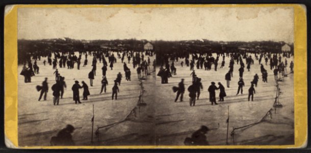 029 (Central Park, ca. 1866)